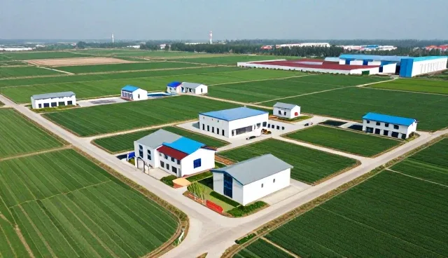 逻辑错误对条件处理效率的影响及优化路径